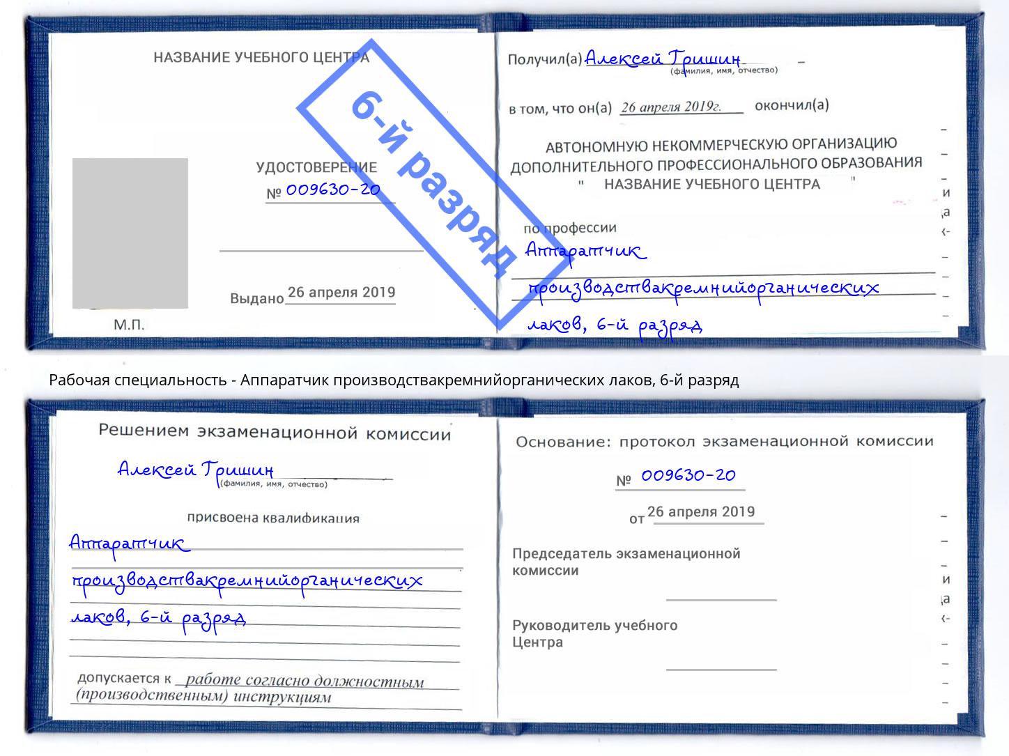 корочка 6-й разряд Аппаратчик производствакремнийорганических лаков Людиново